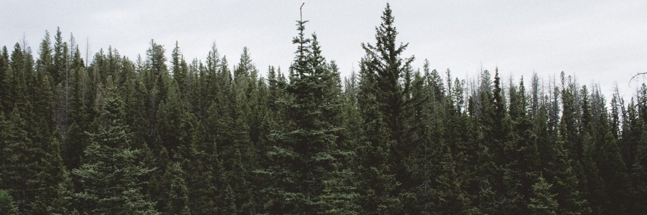 Grace_lee033's profile banner image