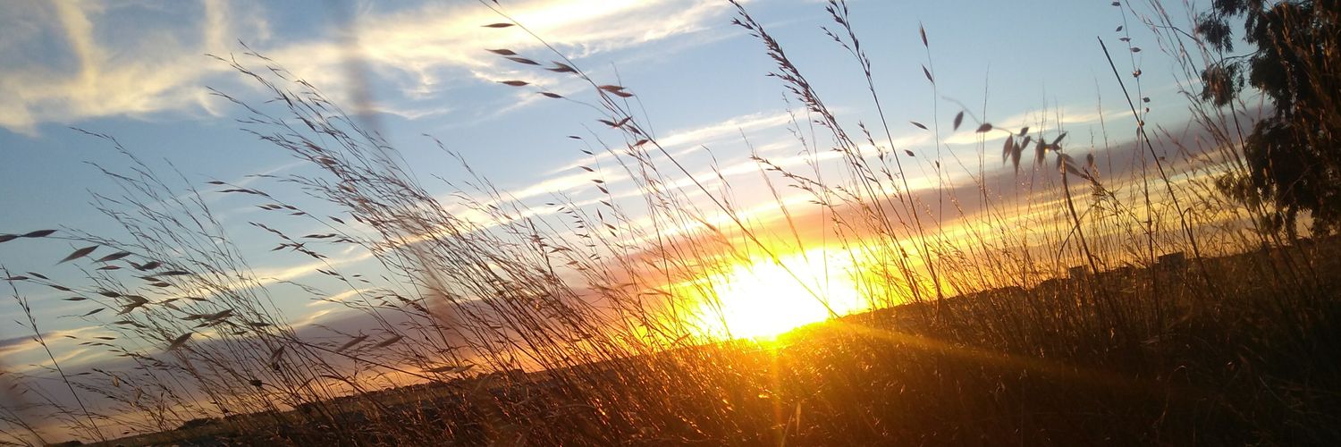 EnzoFranciscoMe's profile banner image