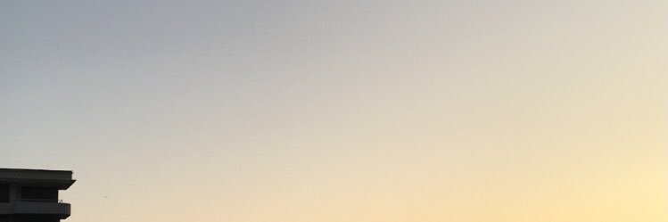 valentina aravena banner