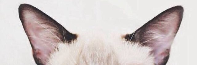 N00F_Ald's profile banner image