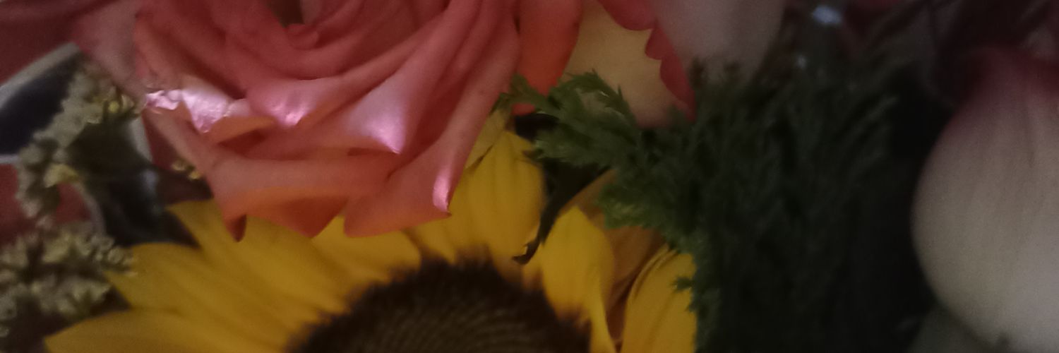 wii_bbb's profile banner image