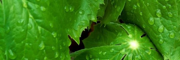 newshealady's profile banner image