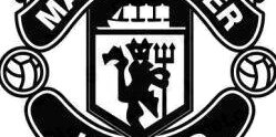 aldynrachman's profile banner image