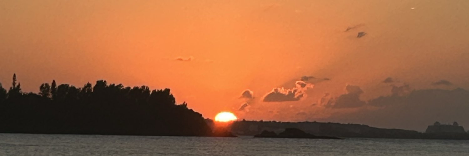 CNSSDS's profile banner image