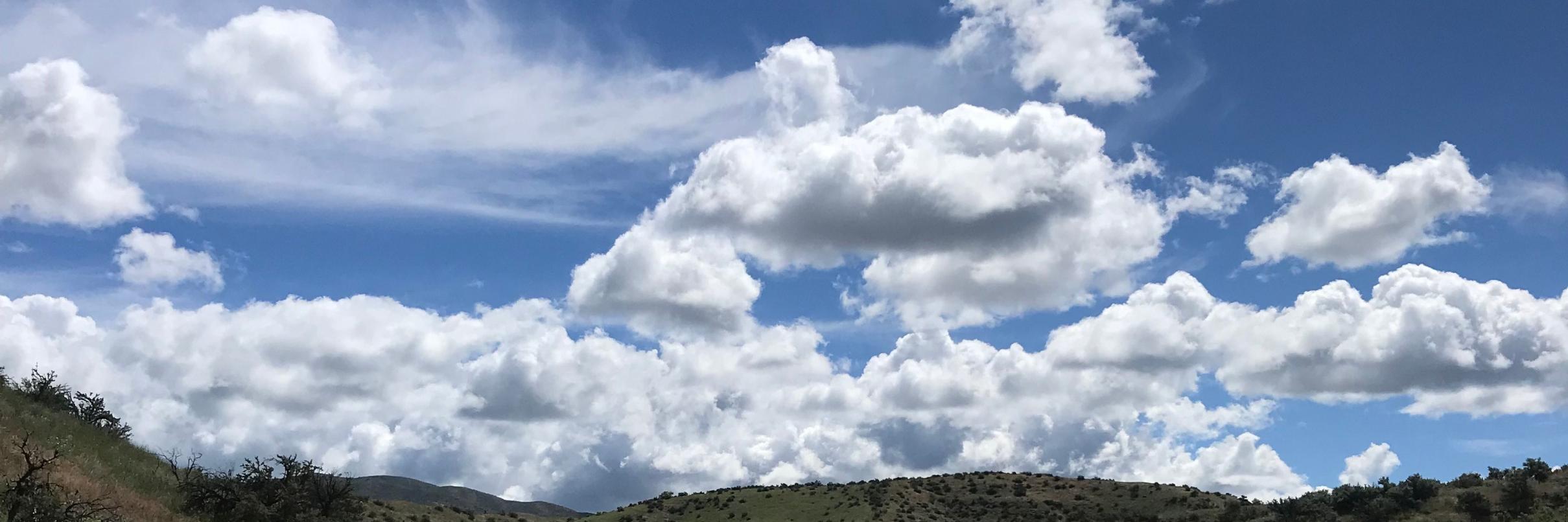 MarleneTromp's profile banner image