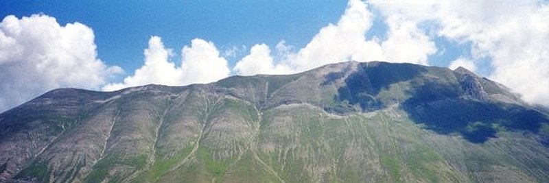 piangrande 📯🍺 banner