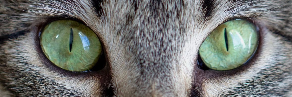 aprilinkc's profile banner image