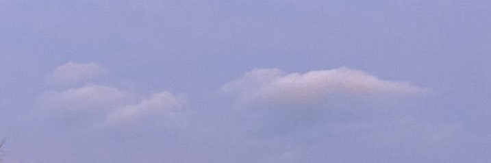 wingEmilyding's profile banner image