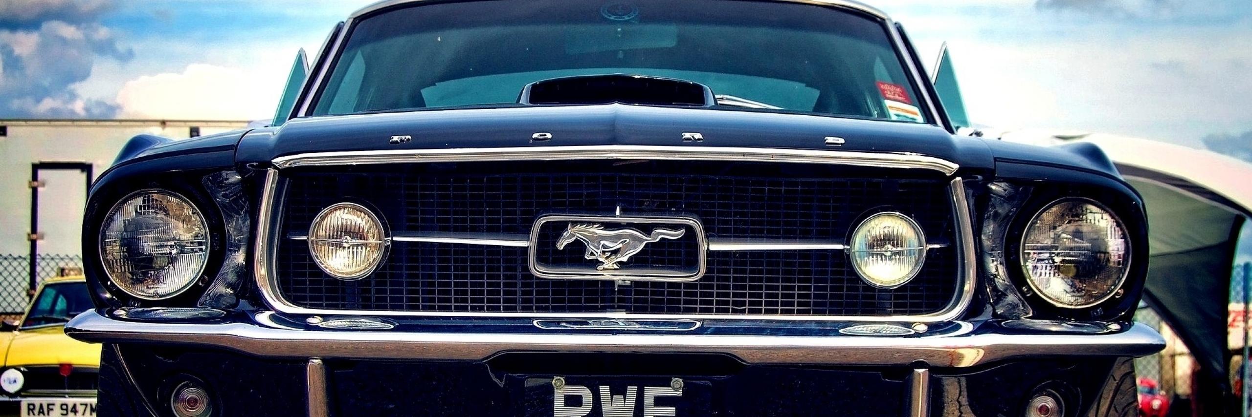 JDavid_fw's profile banner image