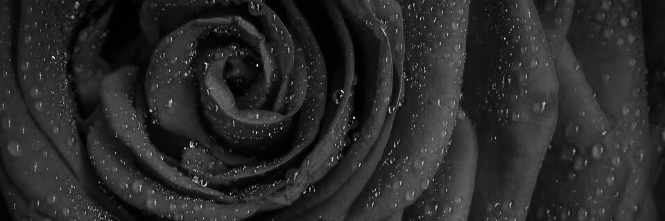 CobNetwork's profile banner image