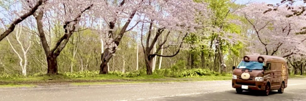 twigarashi's profile banner image