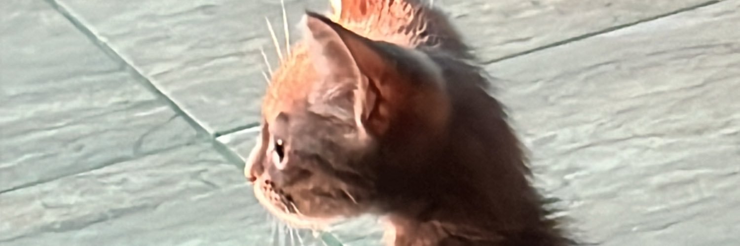 ispaulial's profile banner image