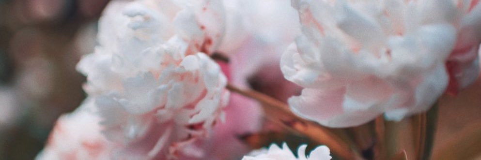 Emilayeeexo's profile banner image