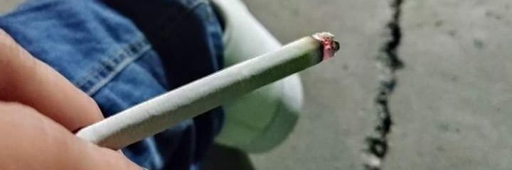 Saul_Chonteco's profile banner image