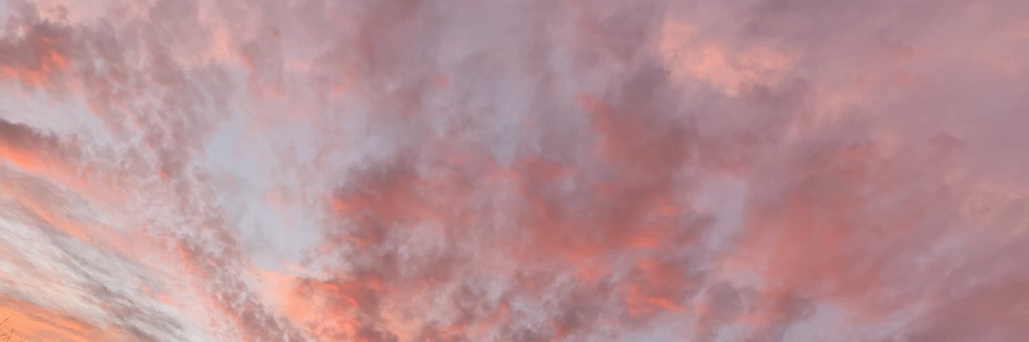 amandanelson__'s profile banner image