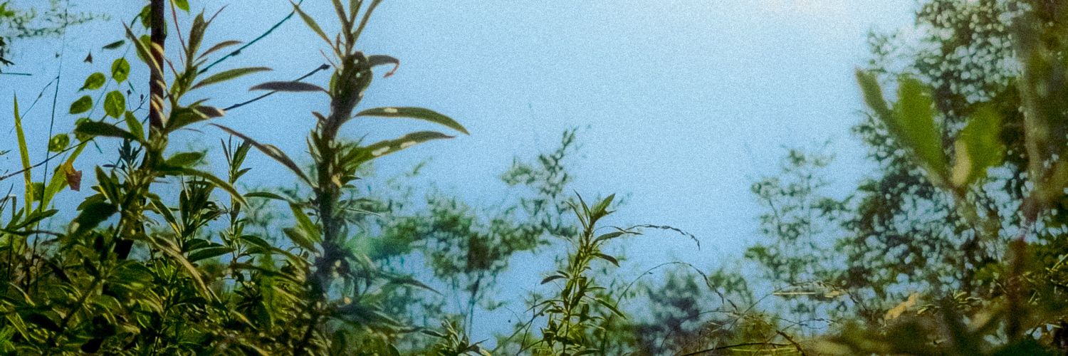 tn_rl03's profile banner image