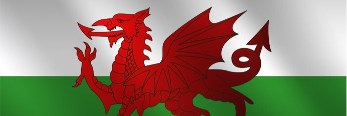 Welsh Bac Warrior banner