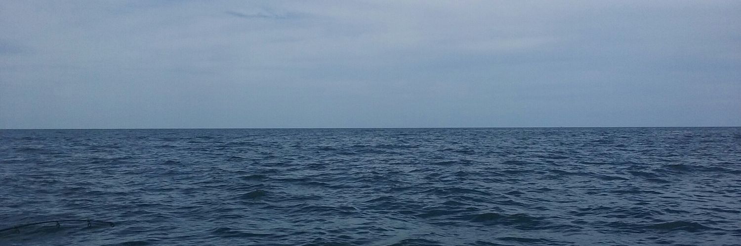 TheRealCatScha's profile banner image