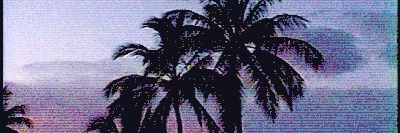 rapae_ii's profile banner image