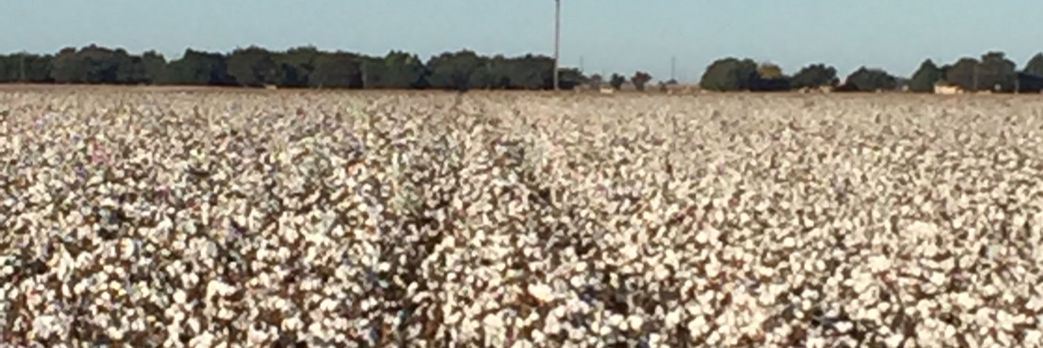 cotton farmin! banner