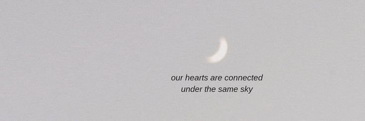donya_afifi's profile banner image