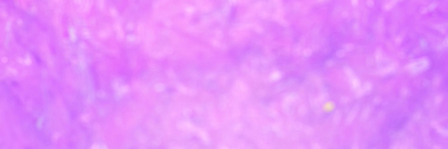 eumesmoally's profile banner image