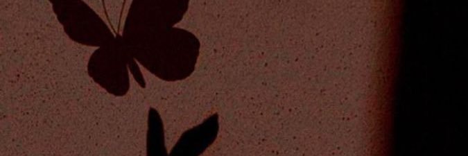 Taati2T's profile banner image