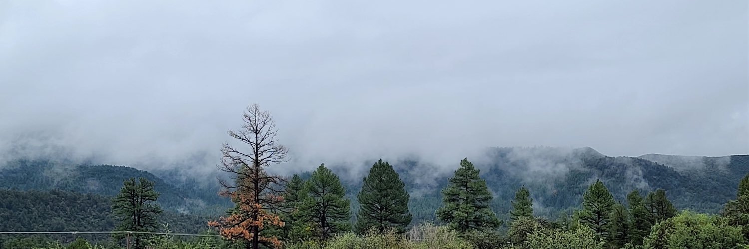 caysi_D's profile banner image