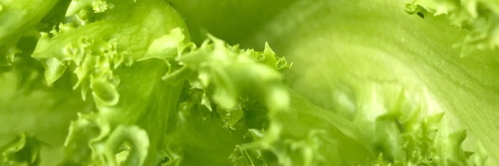 sebavaldeze's profile banner image