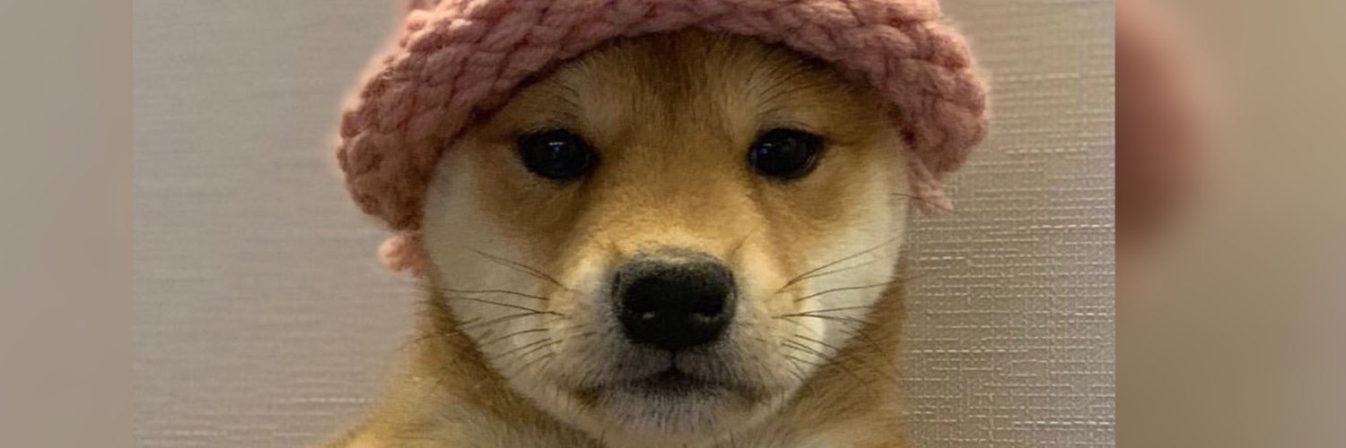 iazndavid1's profile banner image