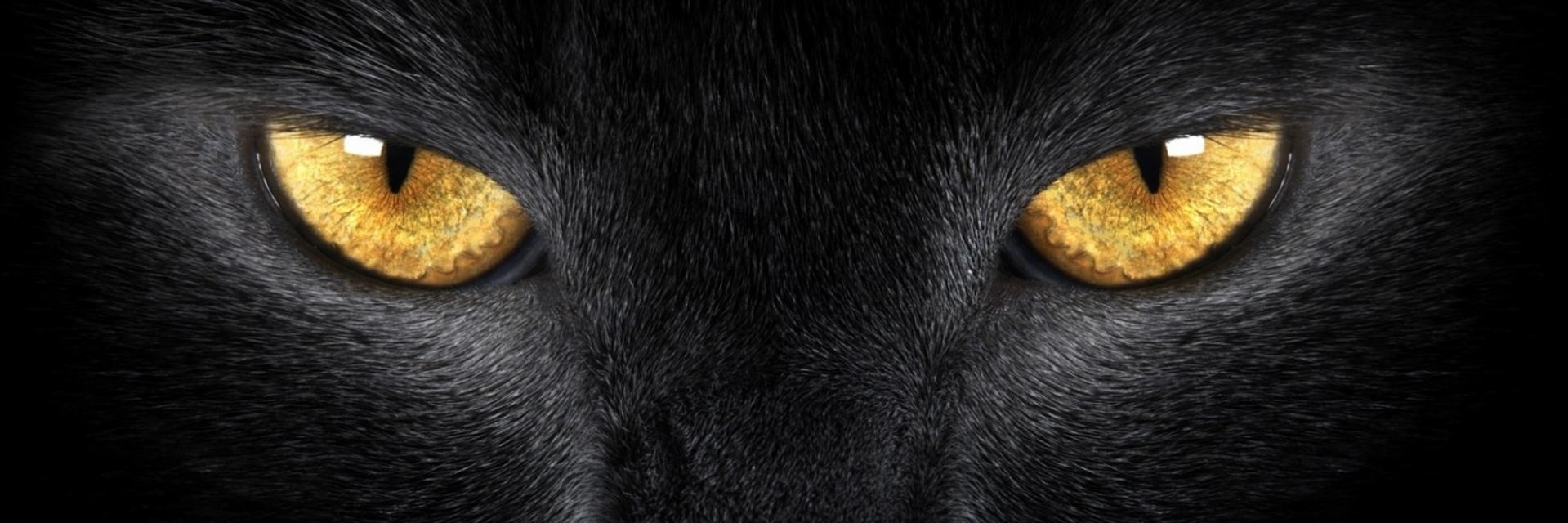 miarachnrlt's profile banner image