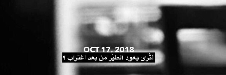mrymii21's profile banner image