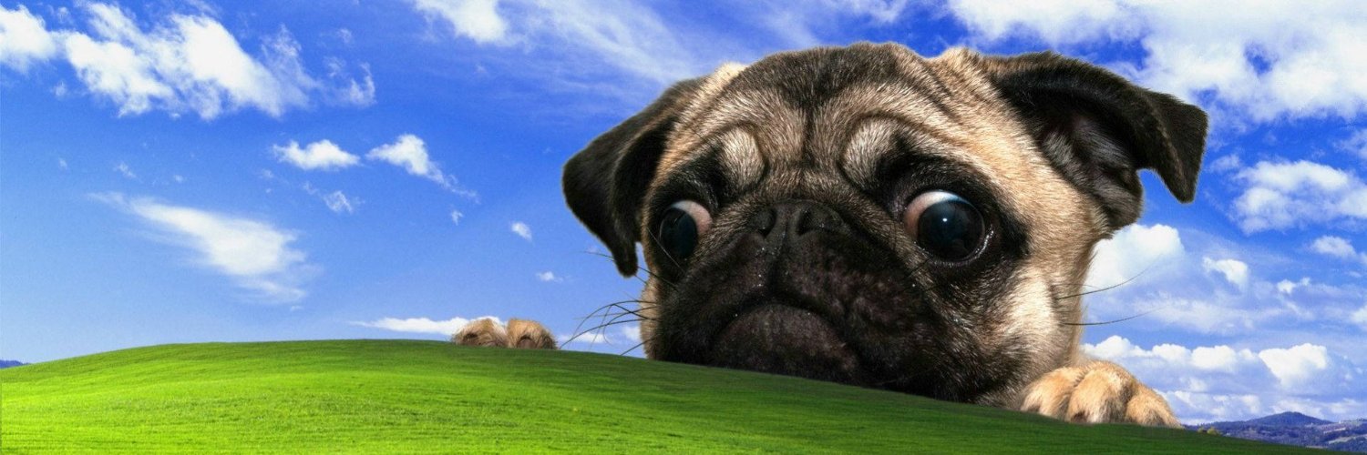 Busi_No1's profile banner image