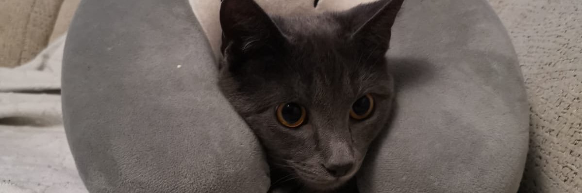 TWMess's profile banner image