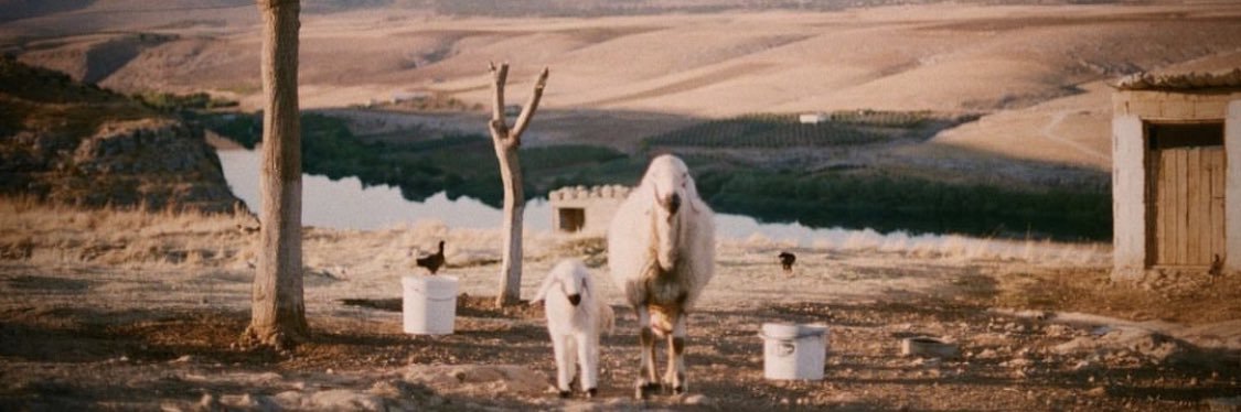 Manon Chapelain banner