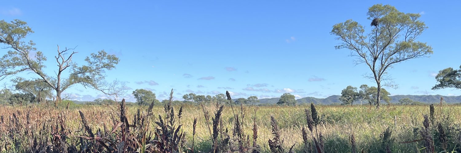 fabraderiver's profile banner image