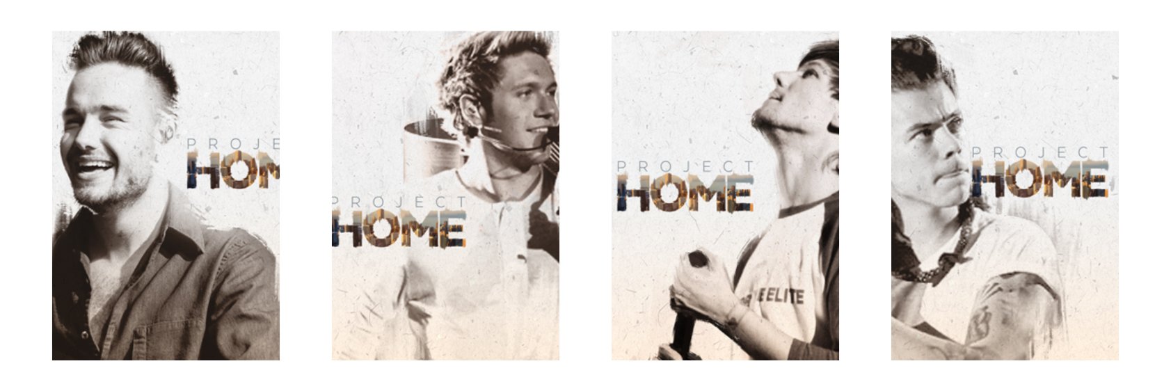 VoteWithMe1D's profile banner image