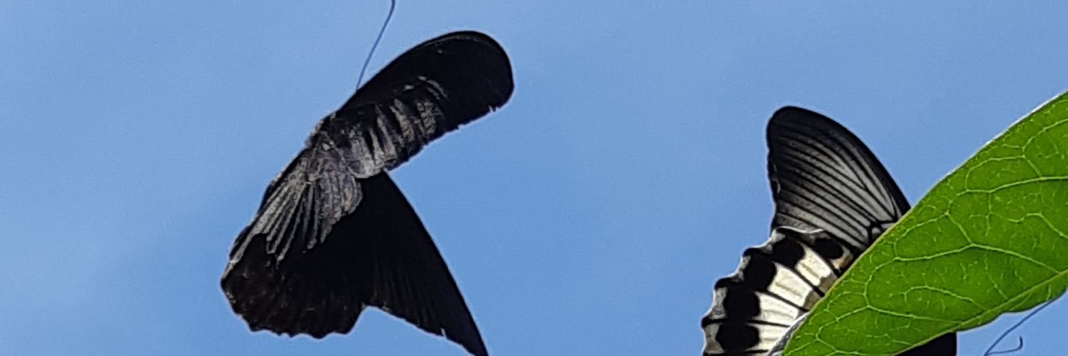 deadeyyadee's profile banner image