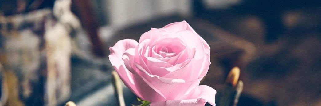 kt_ycy's profile banner image