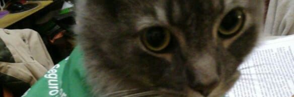 AgusBeltrameP's profile banner image