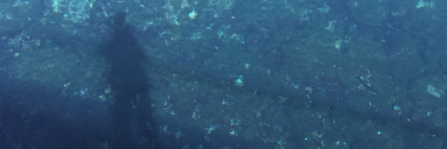 ryucherchan's profile banner image