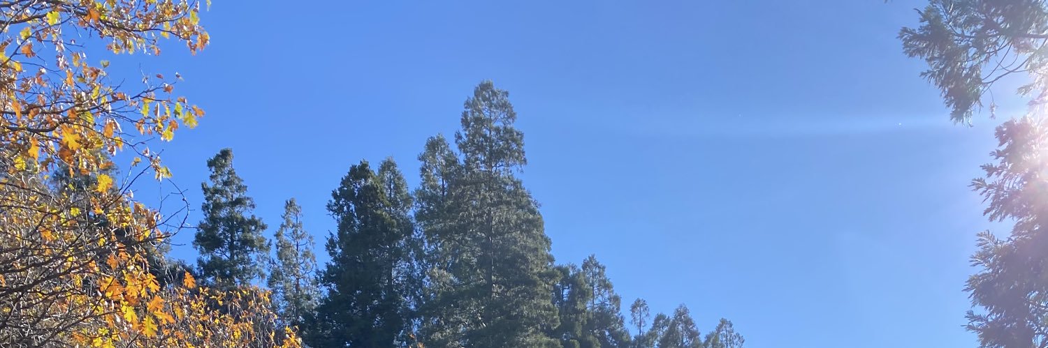 selfpruning's profile banner image