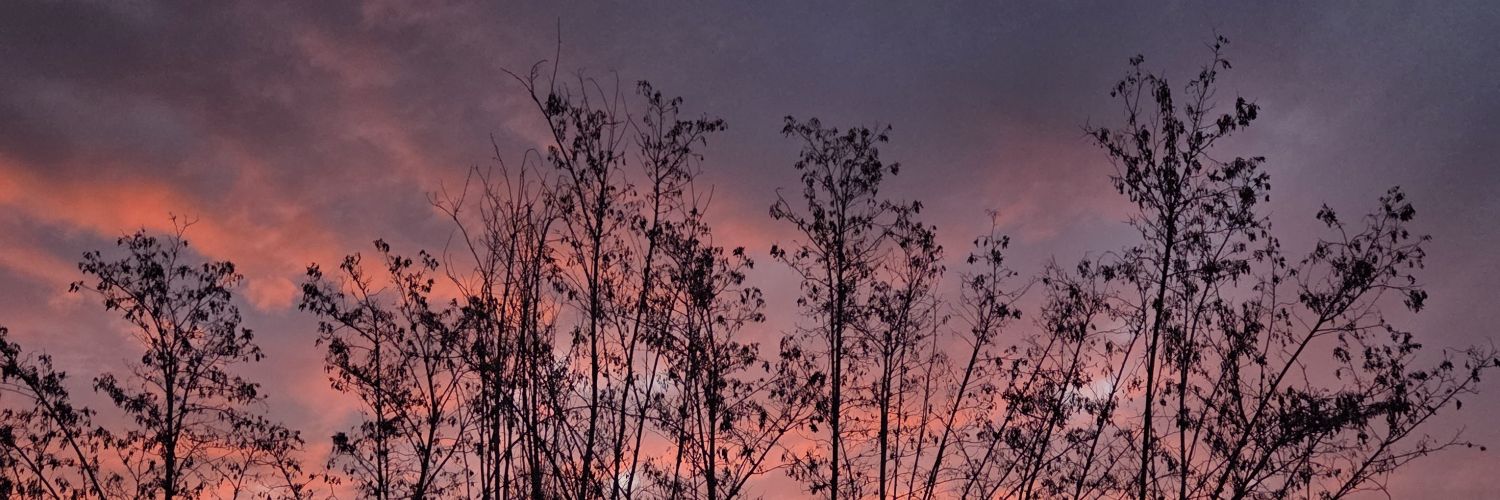 Gadez__'s profile banner image