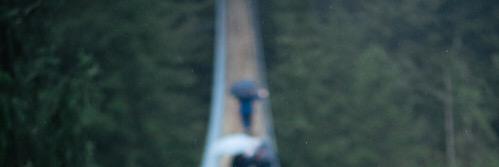 oo_338_'s profile banner image