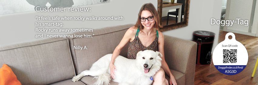 DoggyFinderCo's profile banner image