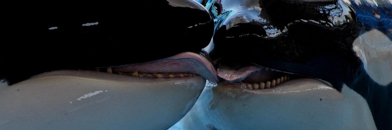 marisakaybee's profile banner image