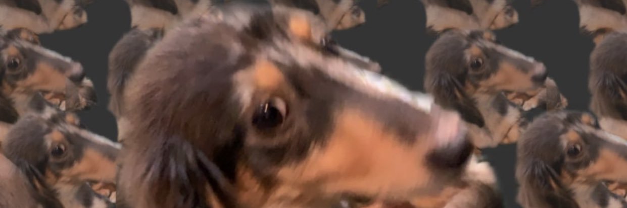 ssaku72's profile banner image