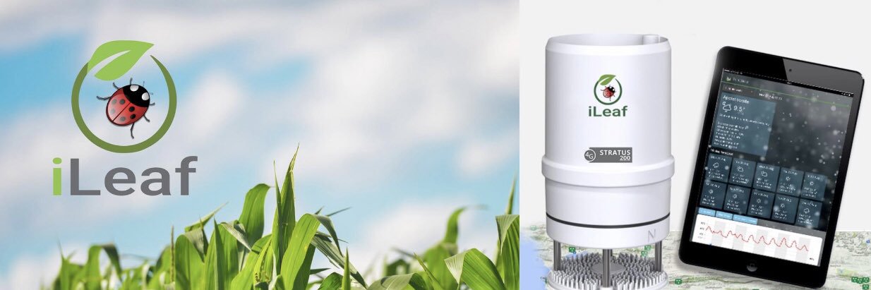 iLeaf_SA's profile banner image