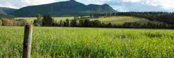 FarmersProblems Profile Banner