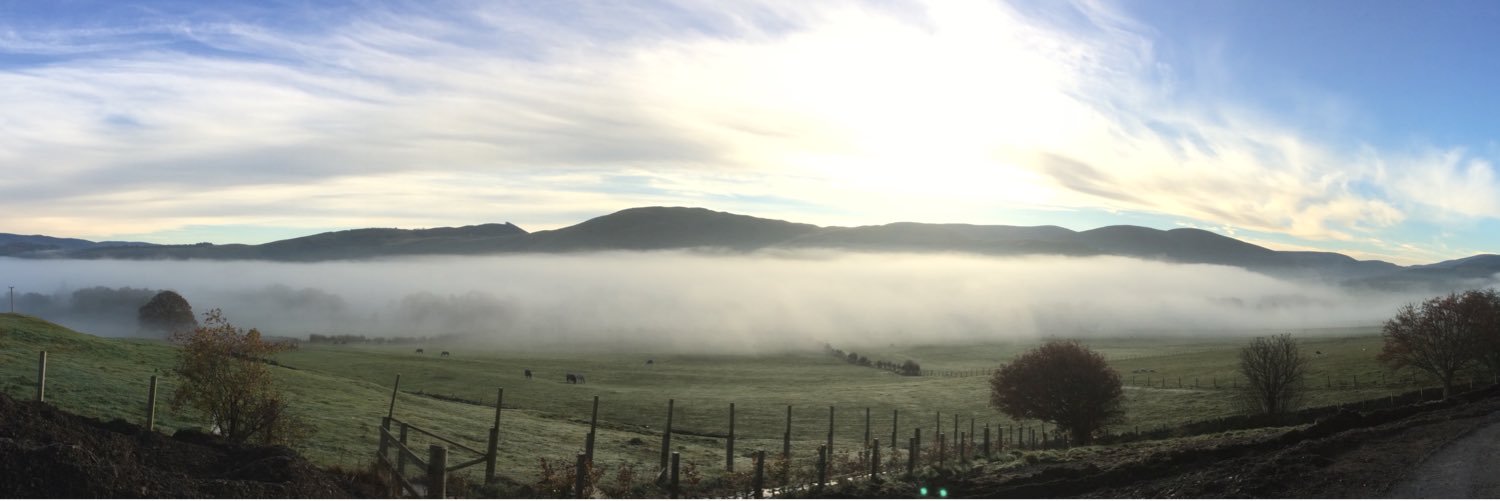 WeeTroonSpoon's profile banner image